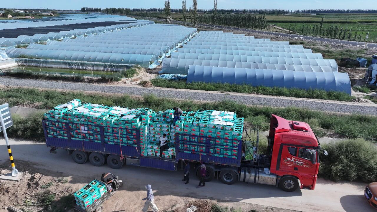 20260414103310167066_11.png 20260414103310167066_11.png